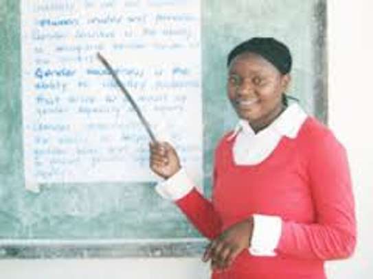 Professional Tutors/Teachers image 3