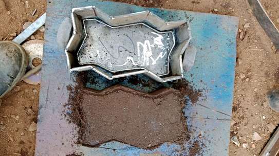 Cabro mould image 3