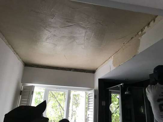 Roof repair experts in Mombasa| Roof repair experts Mombasa. image 10