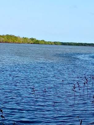 LAND FOR SALE ON THE CREEK. image 2