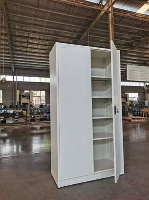 Full Door Metallic Cabinet image 3