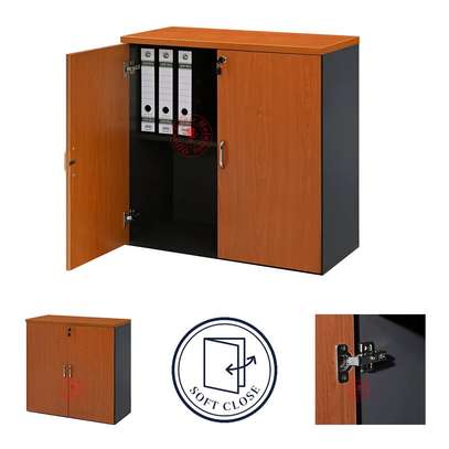 2 Door Lockbale Credenza Cabinet image 5