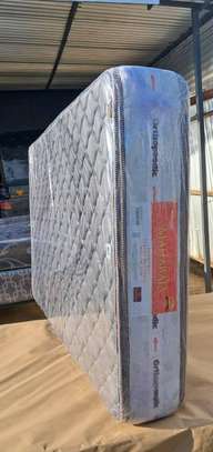 Maharaja Pillow Top 5 X 6 X 10 Orthopaedic Spring Mattresses image 3