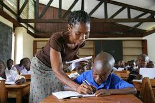 Professional Tutors/Teachers image 4