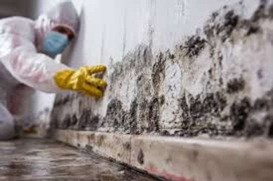 Safe Mould Treatment in Kitisuru, Kyuna & Loresho image 6