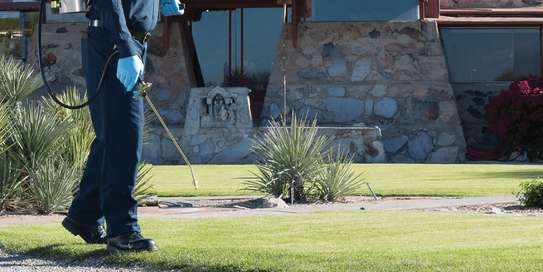 CHEAP Bed Bug Fumigation Services in Kiambu,Thika,Limuru image 10