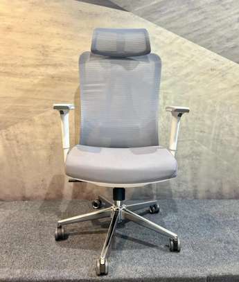 Executive Chairs : Orthopedic Executive Office Chair image 3