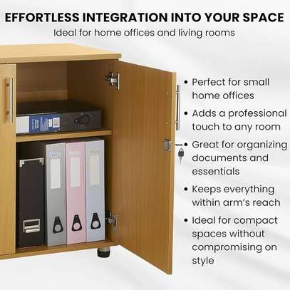 2 Door Lockbale Credenza Cabinet image 2