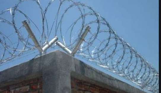 High-Security Electric Fence INSTALLER IN KENYA image 8