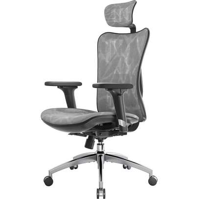 Officce Chair; Professional Ergonomic Office Seat image 2