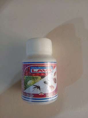 Lava insecticide image 3