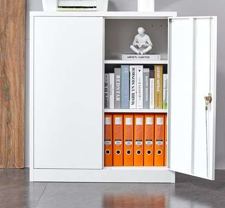 Office Cabinet: 2-Door Office Cabinet In Gesima image 3