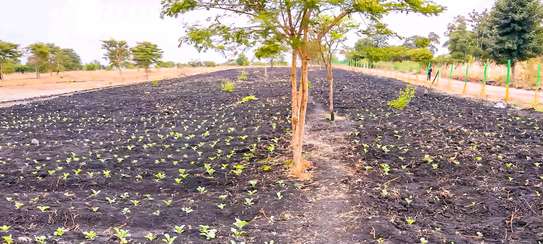 50 by 100 PRIME PLOTS FOR SALE IN MAKUTANO PI (MWEA) image 8