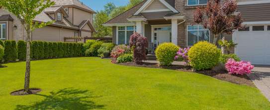 Expert Lawn Mowing & Garden Maintenance Limuru Tigoni image 7
