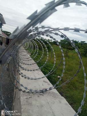 Galvanized Razor Wire Supplier in Kenya image 3