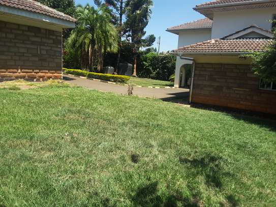 Lovely 5 BR House plus Dsq in Karen image 10
