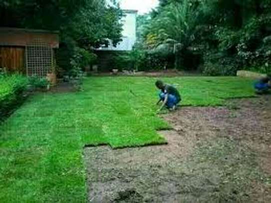 Expert Lawn Mowing & Garden Maintenance Limuru Tigoni image 8