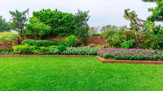 Nanny Agency & Nanny Services |  House Managers, Couples, Housekeepers, Chefs/Cooks, Estate Managers, Butlers, Chauffeurs/Drivers Nairobi. image 11