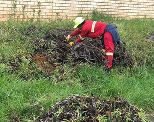 Professional Domestic Help Services in MURANGA image 12