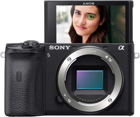 Sony Alpha A6600 Mirrorless Camera image 12