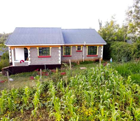 Newly built bungalow image 3