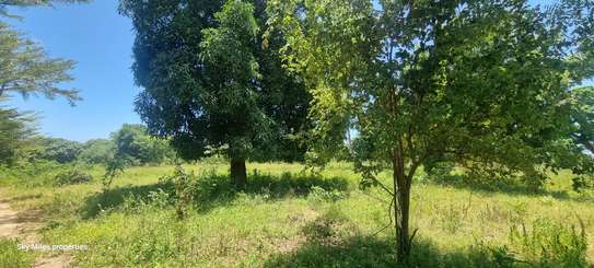 6 ac Land at Mtepeni image 2