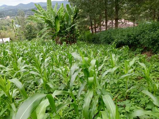 Lovely Quarter (1/4) Acre Plots in Ngong image 2