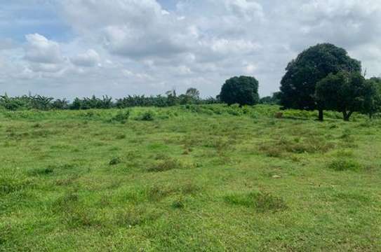 50by100ft plot in Dongo kundu bypass image 2