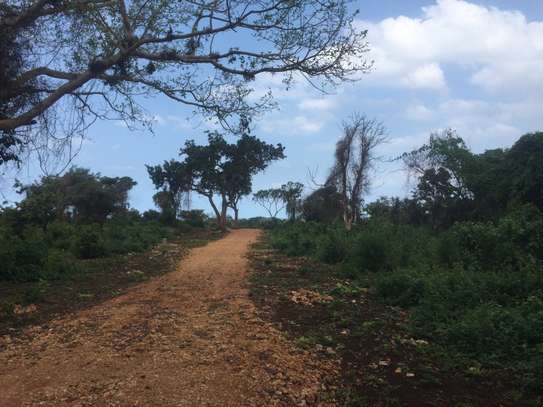 Land in Diani image 8