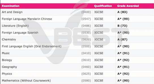 Home-based Tuition in Runda image 3