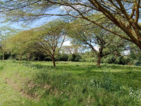 Land at Roysambu image 11