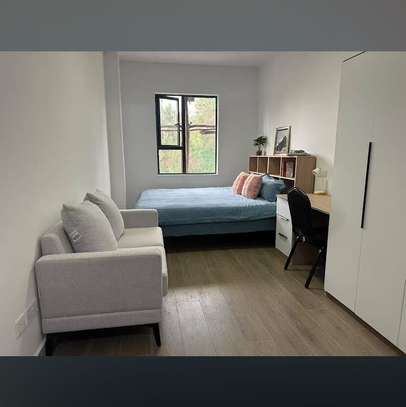 Studio Apartment with Swimming Pool in Juja image 5