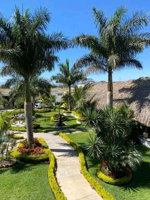 Landscaping services image 3