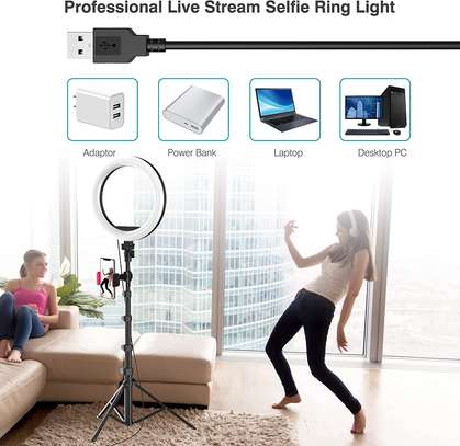 10 inch Ring Light with Stand and Phone Holder, 360° image 3