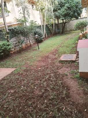 4 bedroom house for rent in Lavington image 38