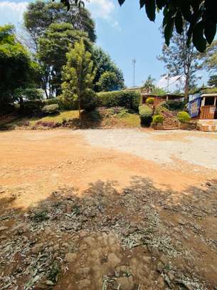 1 ac Land at Banana Raini Road image 3