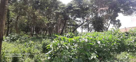 Land in Redhill image 5