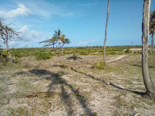 50-Acre Beach Plot For Sale in Bofa/Kilifi image 7
