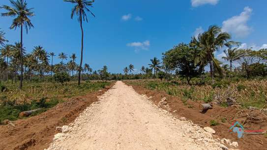Prime Tropical Land Plot Cleared for Building image 4