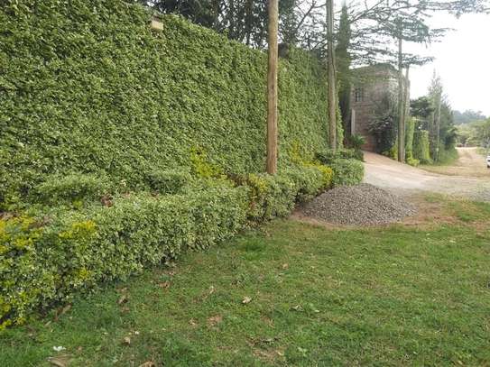 1,000 m² Residential Land in Ngong image 6