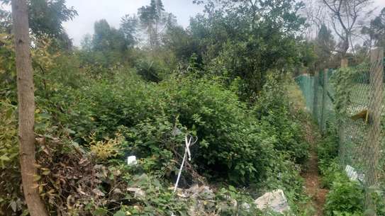 Land in Karen Hardy image 3