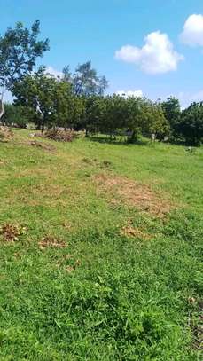 LAND FOR SALE KILIFI MTONDIA BOFA ROAD image 2