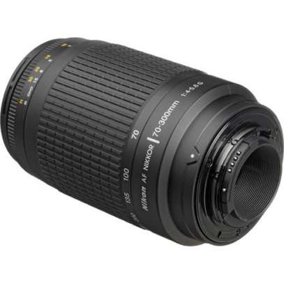 Nikon AF-P DX NIKKOR 70-300mm f/4.5-6.3G ED DX image 3