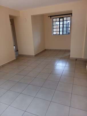 2 Bed Apartment with En Suite in Thindigua image 7