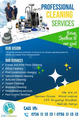 PROFESSIONAL CLEANING SERVICES image 1