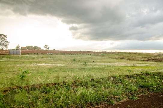 0.125 ac Commercial Land at Ruiru - Mugutha ( Kabogo) Road image 1