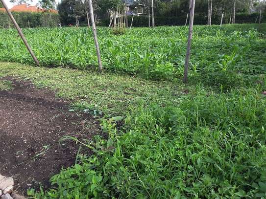 500 m² residential land for sale in Ongata Rongai image 1