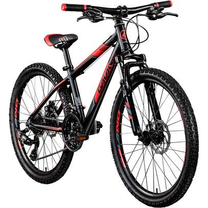 Reset Mountain BIKE size 24 With Gear image 1