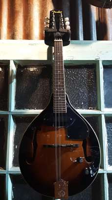 Mandolin image 1