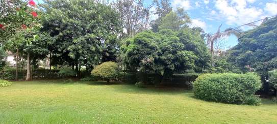 3 Bed House with Garden in Lavington image 4